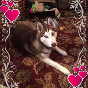 Meet your Posher, Wendy